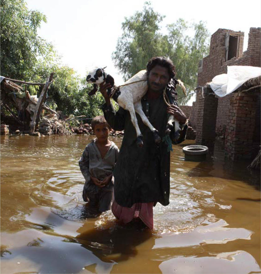 ©FAO/Asim Hafeez