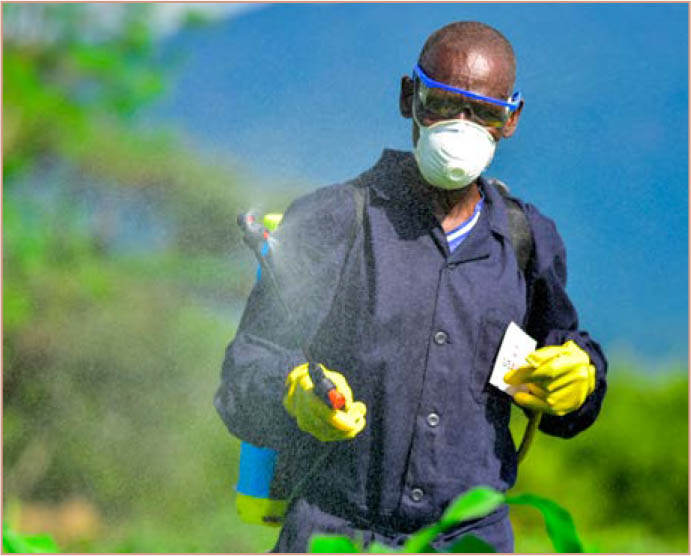 ©FAO/Michael Tewelde