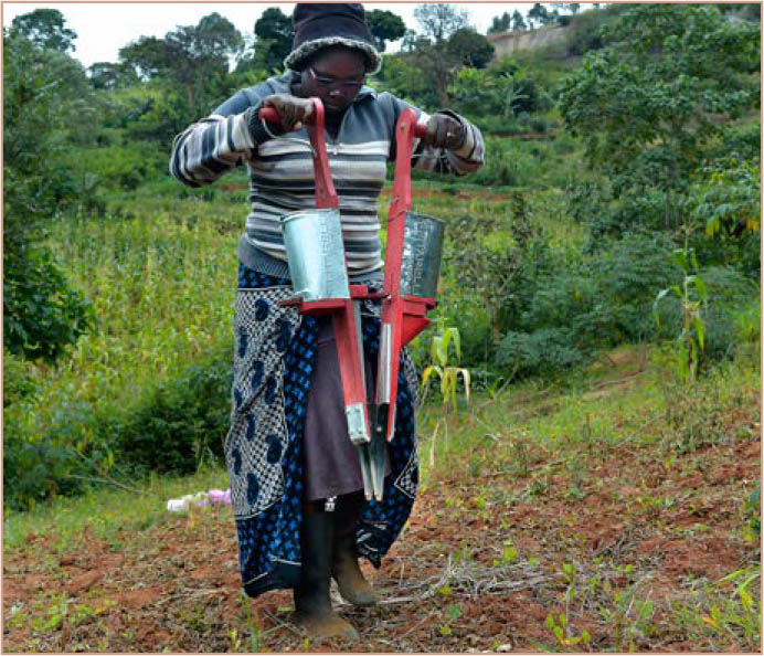 ©FAO/Simon Maina