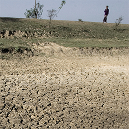 ©FAO/Giulio Napolitano