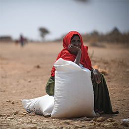 ©FAO/IFAD/WFP/Michael Tewe