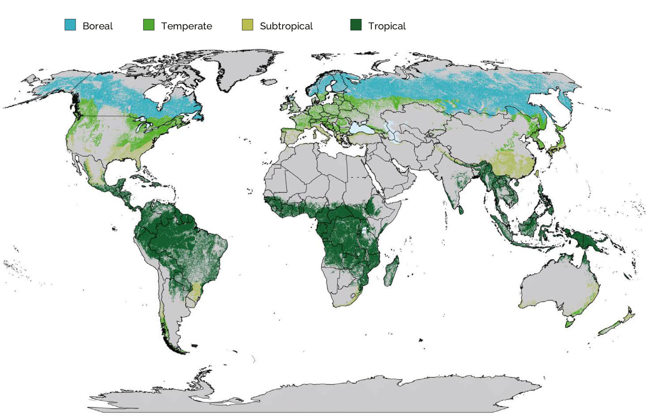 Source: FAO, 2020b modified to comply with UN, 2021.